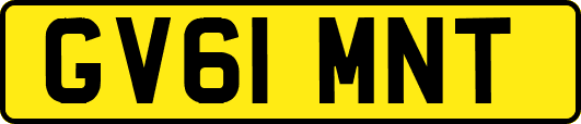GV61MNT