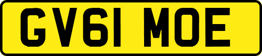 GV61MOE