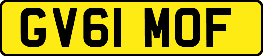 GV61MOF