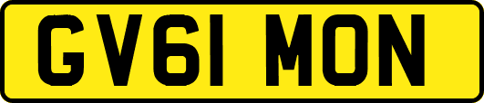 GV61MON