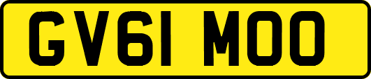 GV61MOO