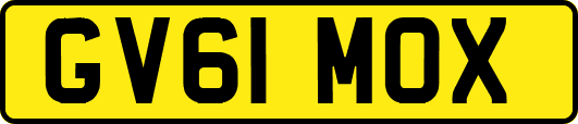 GV61MOX