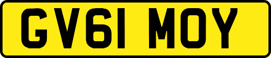 GV61MOY