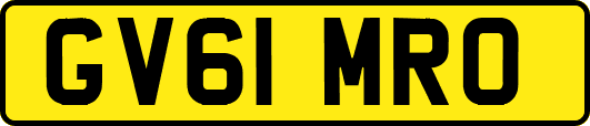 GV61MRO