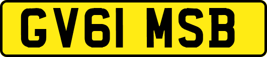 GV61MSB