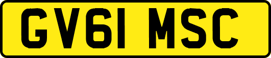 GV61MSC