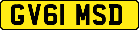 GV61MSD