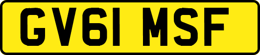 GV61MSF