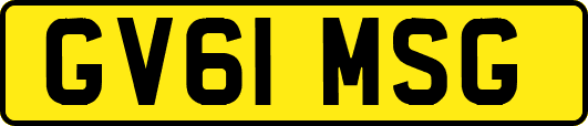GV61MSG