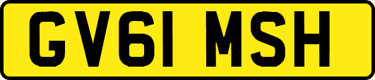 GV61MSH