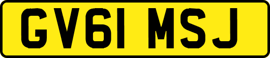 GV61MSJ