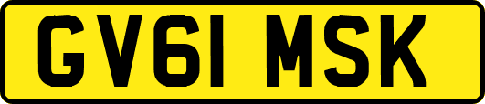 GV61MSK