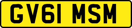 GV61MSM