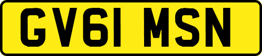 GV61MSN