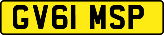 GV61MSP