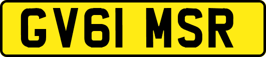 GV61MSR