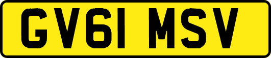GV61MSV