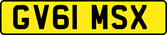 GV61MSX