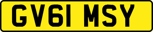GV61MSY