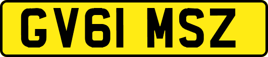 GV61MSZ