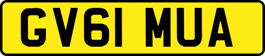 GV61MUA