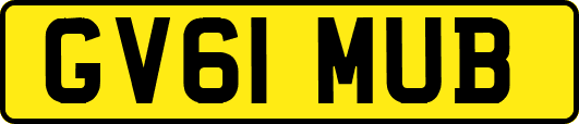 GV61MUB
