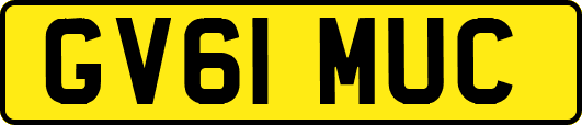 GV61MUC