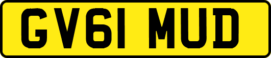 GV61MUD