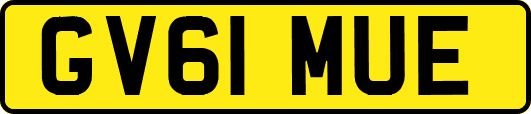 GV61MUE
