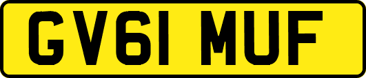 GV61MUF