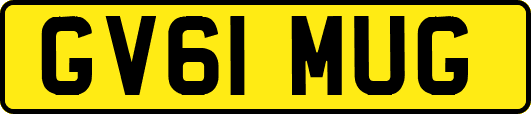 GV61MUG