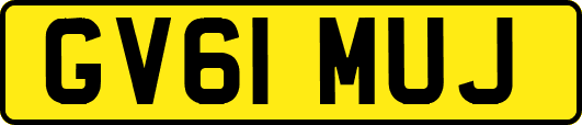 GV61MUJ
