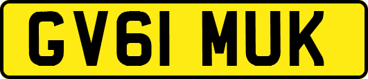 GV61MUK