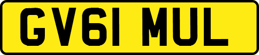 GV61MUL