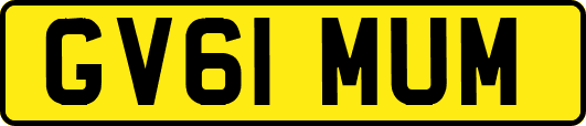 GV61MUM
