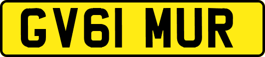 GV61MUR
