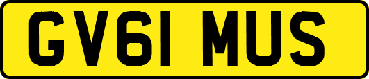 GV61MUS
