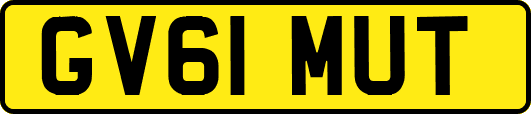 GV61MUT