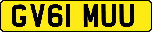 GV61MUU
