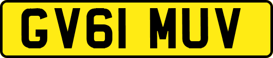 GV61MUV