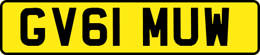 GV61MUW