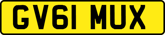 GV61MUX