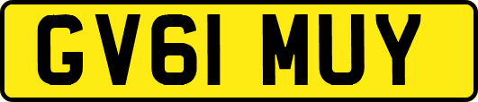 GV61MUY