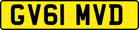 GV61MVD