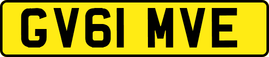 GV61MVE