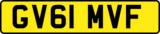 GV61MVF