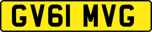 GV61MVG