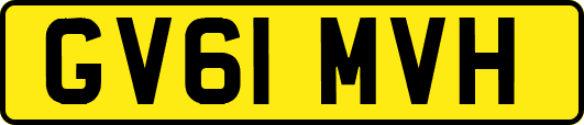 GV61MVH