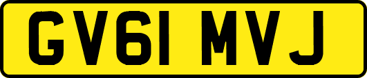 GV61MVJ