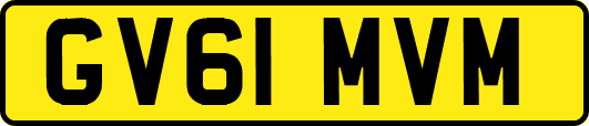 GV61MVM